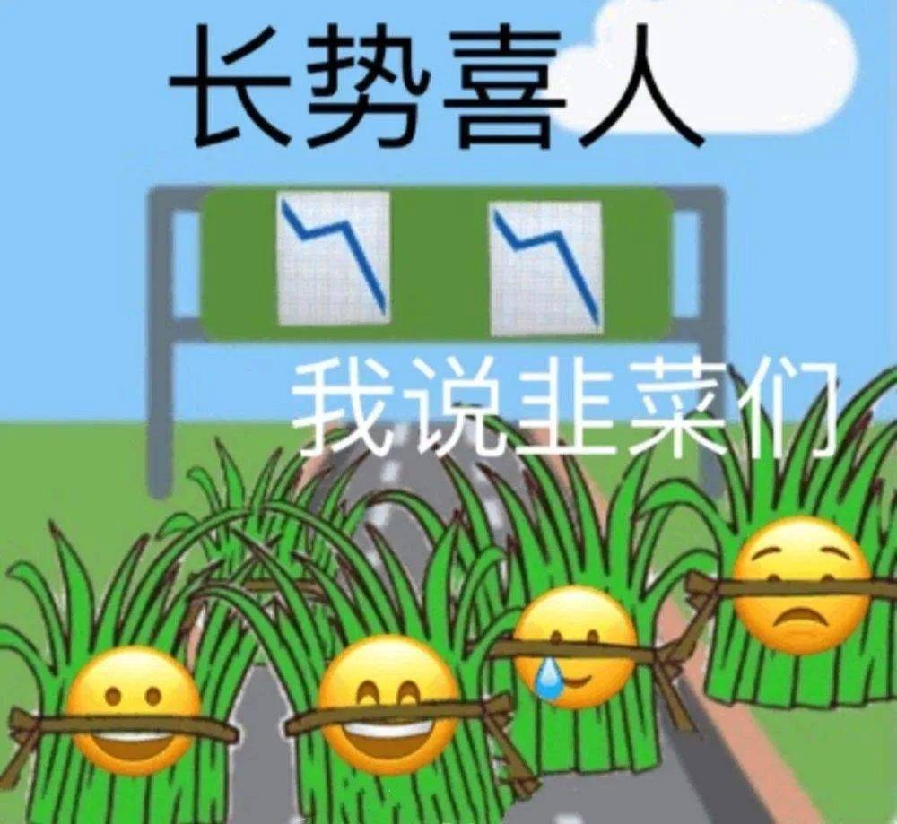 二舅火了<strong></p>
<p>火币网</strong>，但“二舅币”崩了