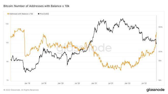 埃隆马斯克说比特币“会成功”——本周比特币需要<strong></p>
<p>btc价格</strong>了解的 5 件事