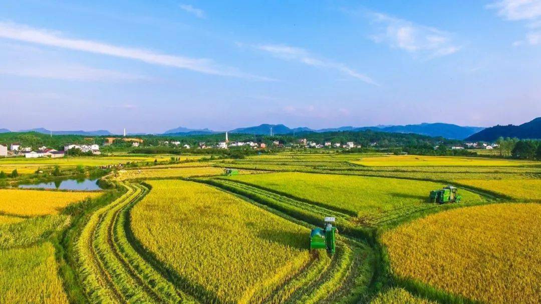 今日尿素价格<strong></p>
<p>eos价格今日行情</strong>，集体“大幅”上涨！11月11日尿素行情