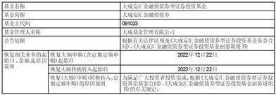 大成中国优势混合型证券投资基金（QDII）暂停申购、赎回及 定期定额投资业务的公告