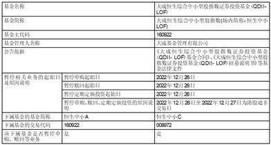 大成中国优势混合型证券投资基金（QDII）暂停申购、赎回及 定期定额投资业务的公告