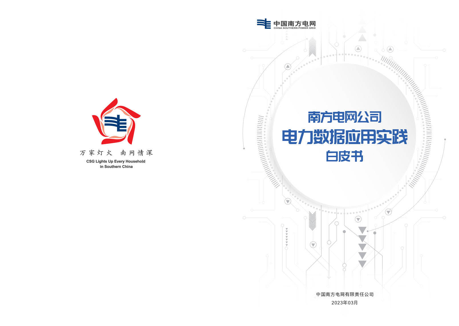 《南方电网公司电力数据应用实践白皮书》（附下载）