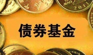 什么是债券型基金