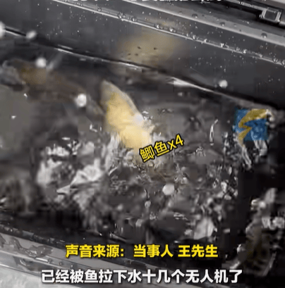 男子在家操控无人机钓鱼<strong></p>
<p>虚拟币交易平台打工</strong>，当天就钓上十几条，当事人：不要轻易尝试，已被鱼拉下水十几个无人机