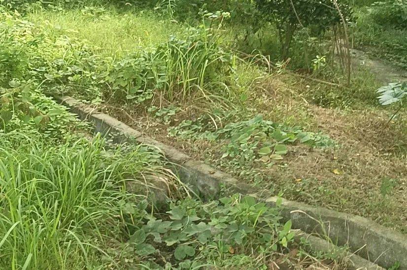 郴州800斤疯牛跑出后顶着屠宰工人一路上山又撞下山<strong></p>
<p>虚拟币取消场外交易所</strong>，已被击毙