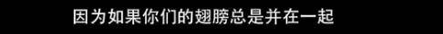 他们那么幸福恩爱<strong></p>
<p>阅读币虚拟币</strong>，怎么突然离婚了……