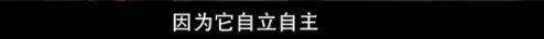 他们那么幸福恩爱<strong></p>
<p>阅读币虚拟币</strong>，怎么突然离婚了……
