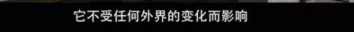 他们那么幸福恩爱<strong></p>
<p>阅读币虚拟币</strong>，怎么突然离婚了……