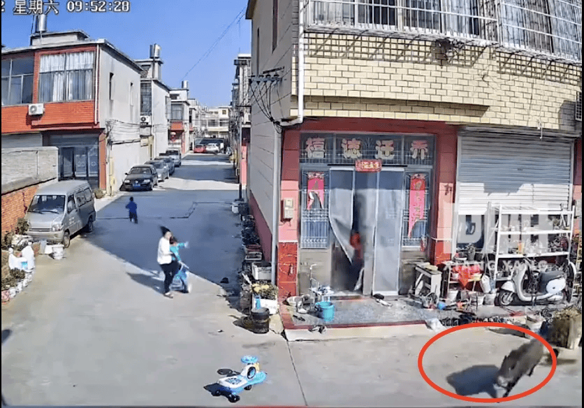 街头横冲直闯<strong></p>
<p>猎豹浏览器虚拟币</strong>，抱娃女子被撞伤，警方：已被特警击毙