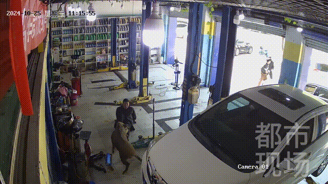 街头横冲直闯<strong></p>
<p>猎豹浏览器虚拟币</strong>，抱娃女子被撞伤，警方：已被特警击毙