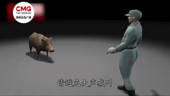 街头横冲直闯<strong></p>
<p>猎豹浏览器虚拟币</strong>，抱娃女子被撞伤，警方：已被特警击毙