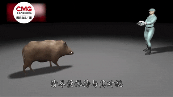 街头横冲直闯<strong></p>
<p>猎豹浏览器虚拟币</strong>，抱娃女子被撞伤，警方：已被特警击毙