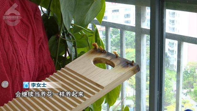 “可以蒸蛋”！昆明一女子家中搓衣板上长菌<strong></p>
<p>虚拟币chat社区</strong>，品种竟是……