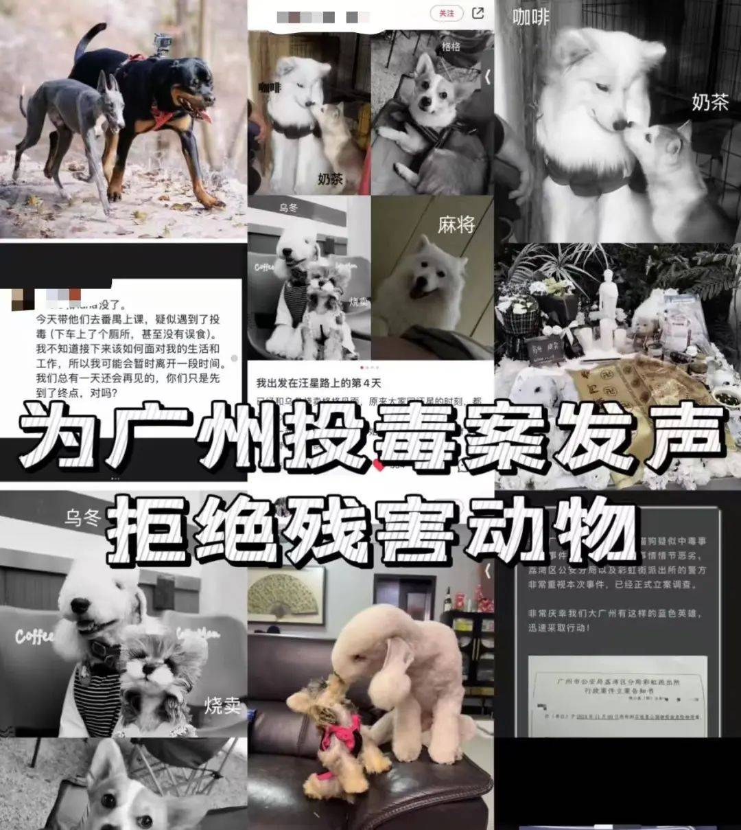 “死亡数据仍在上升”<strong></p>
<p>idex虚拟币交易所</strong>！广州警方介入
