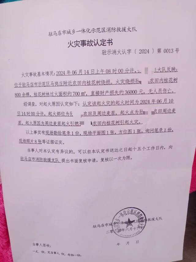 群众近千棵桂花树被烧死<strong></p>
<p>cstk虚拟币</strong>，为何不立案？驻马店回应