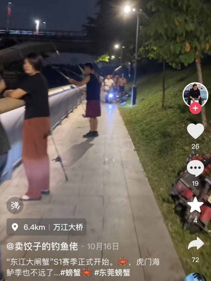 一晚收获40只<strong></p>
<p>cstk虚拟币</strong>？东莞东江边“蟹张力”拉满｜莞有料