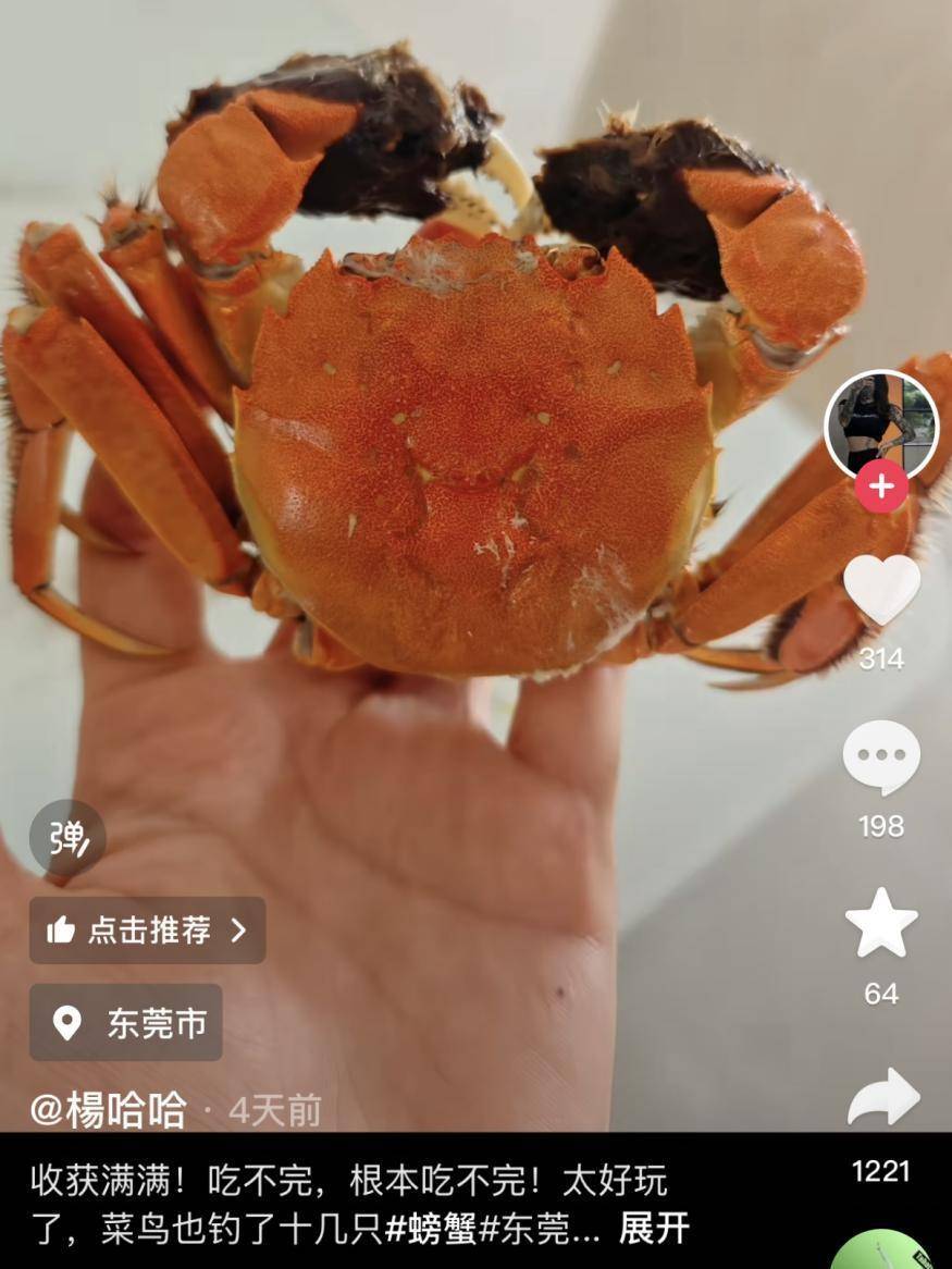 一晚收获40只<strong></p>
<p>cstk虚拟币</strong>？东莞东江边“蟹张力”拉满｜莞有料
