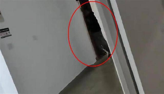 上海一高校男生晚上撞开女生寝室门<strong></p>
<p>金山虚拟币</strong>，校方：醉酒后走错了