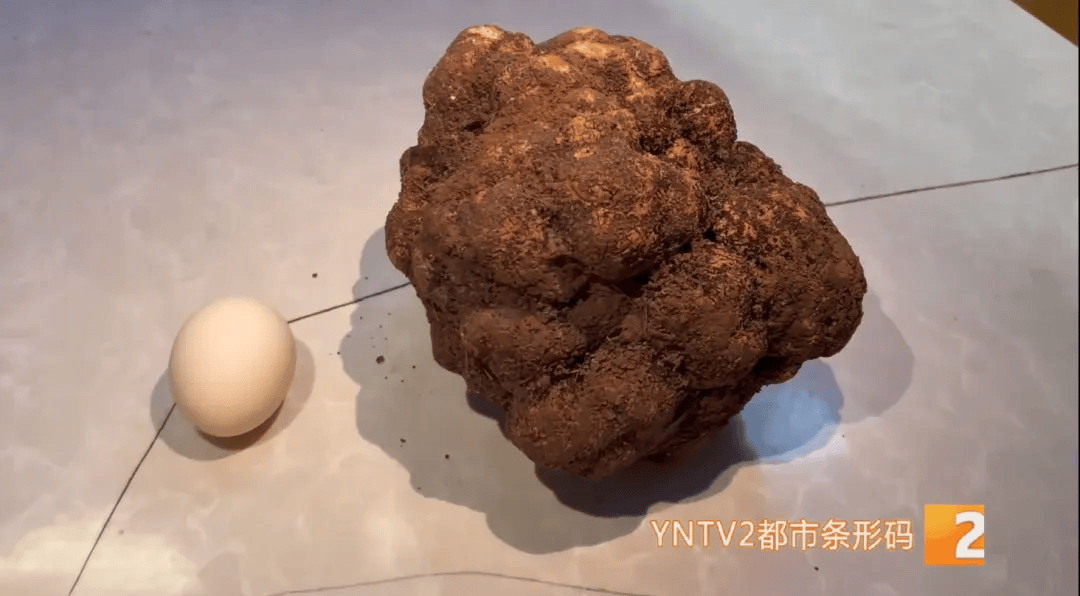 昆明一村民挖到1.7公斤超大松露<strong></p>
<p>普通电脑能挖那种虚拟币</strong>！“看都看不够”