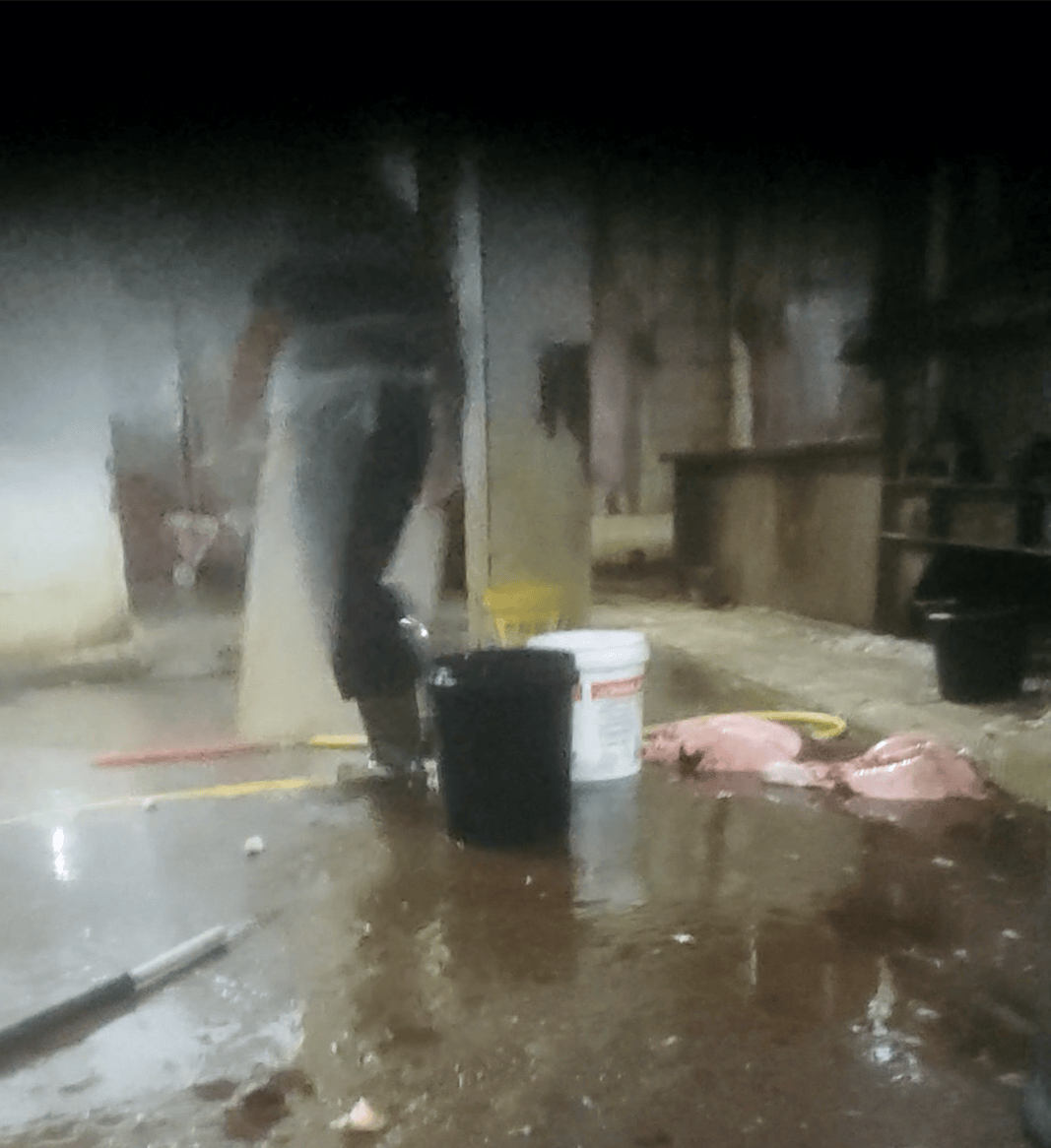 暗访生猪黑屠宰点：无证窝点被封后重新开张<strong></p>
<p>普通电脑能挖那种虚拟币</strong>，无检疫猪肉跨省销售
