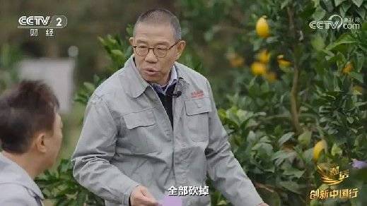 2024年末央视再度专访钟睒睒<strong></p>
<p>虚拟币返点怎么做会计处理</strong>，背后有何深意？