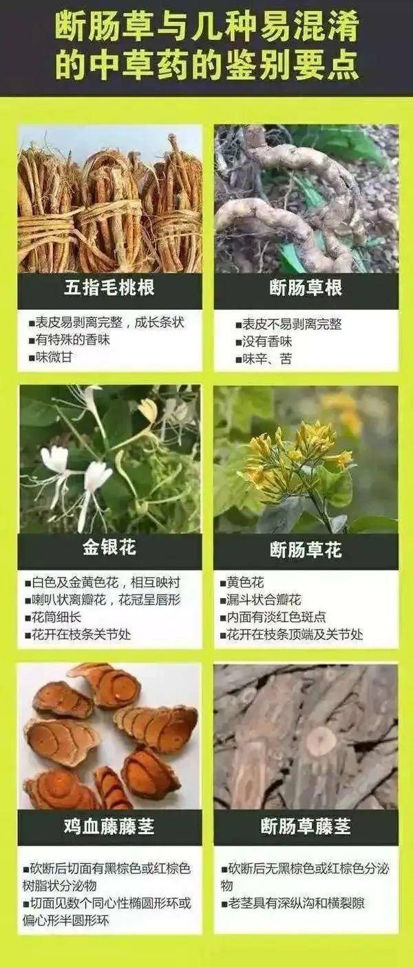 广东一老人买药材煲汤中毒身亡 当地：店铺误售断肠草<strong></p>
<p>虚拟币类型</strong>，老板被拘留