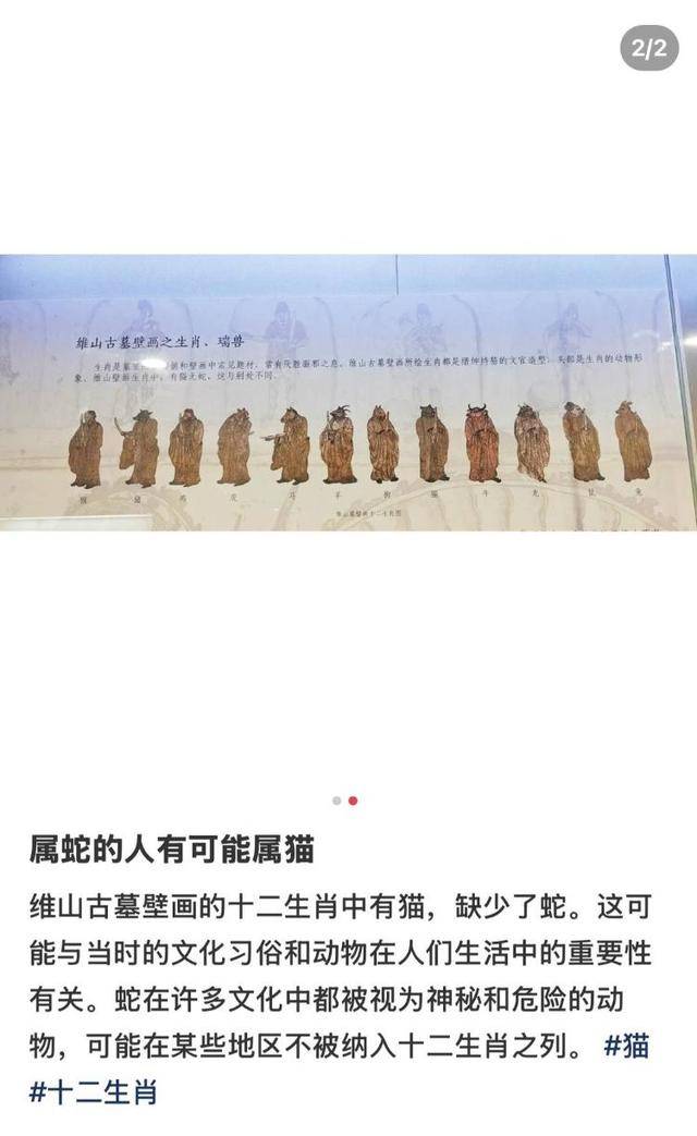 古代壁画“十二生肖图”有猫无蛇<strong></p>
<p>虚拟币类型</strong>？专家：与主流生肖文化相差很大