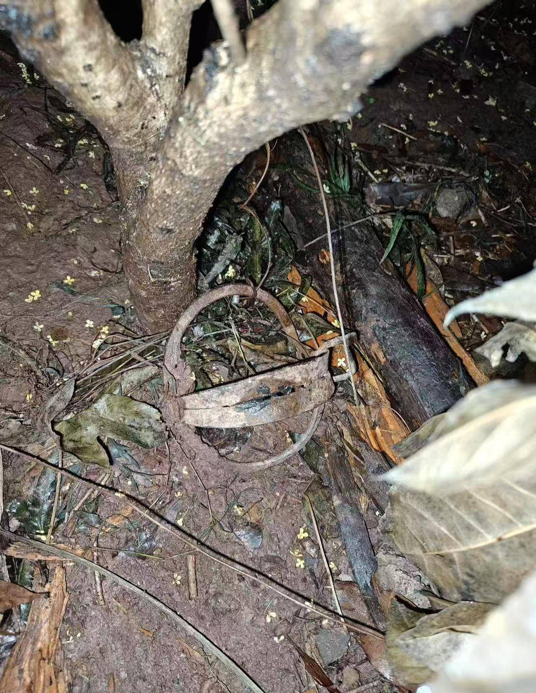 重庆一小区物业大规模投毒捕杀流浪猫？物业回应：通知表述欠缺考虑<strong></p>
<p>虚拟币流程</strong>，已撤回