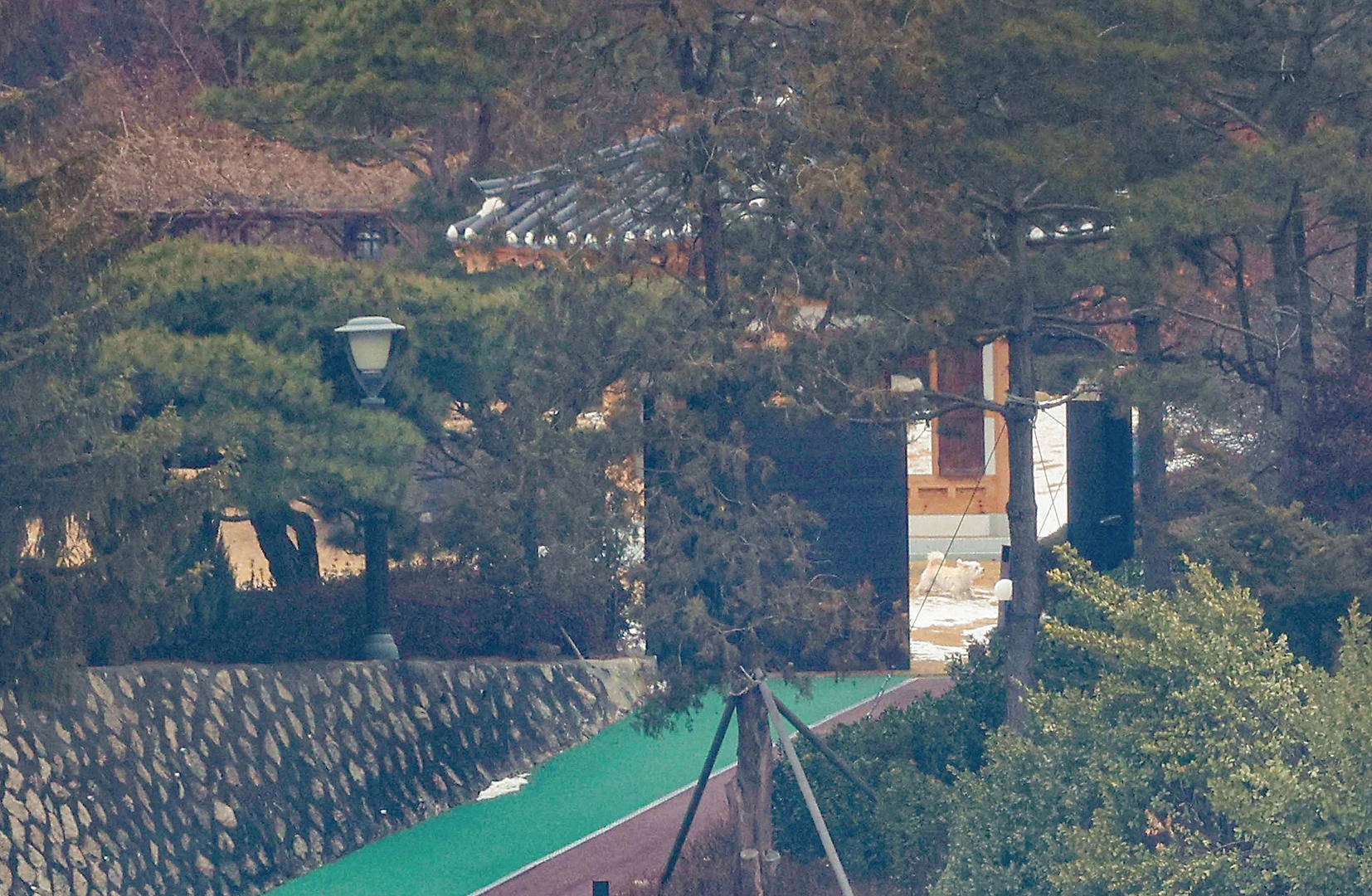 韩议员：金建希仍在总统官邸<strong></p>
<p>cortex发放虚拟币</strong>，“脸色很难看”，尹锡悦说她最近“吃不下东西”
