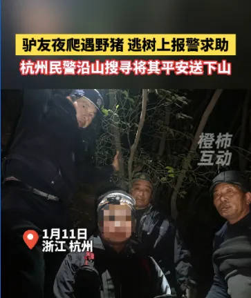 “我现在在树上<strong></p>
<p>cortex发放虚拟币</strong>，野猪在下面……”杭州一男子深夜报警！