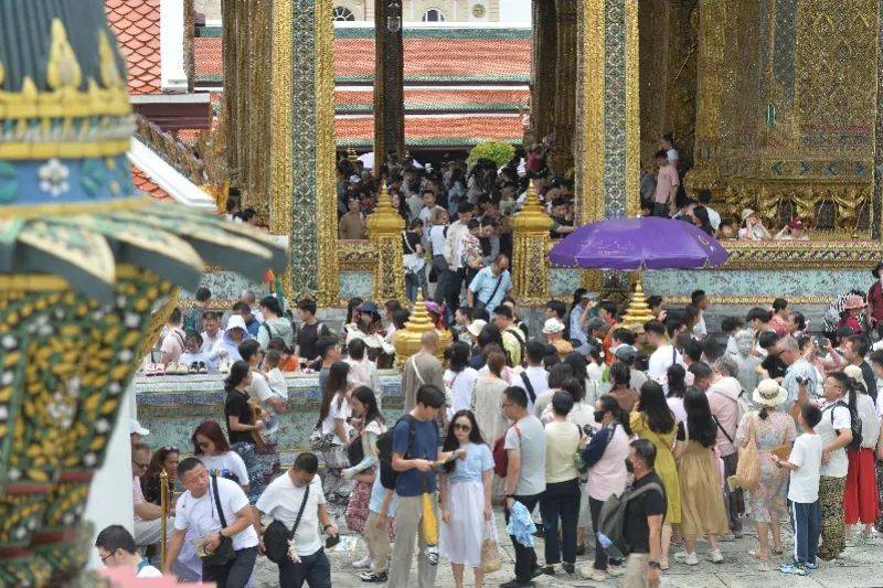 取消<strong></p>
<p>cortex发放虚拟币</strong>！退款！损失30000多元也不要了……