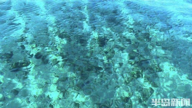 青岛女子买下70万平米小岛后续来了：目前没打算私有<strong></p>
<p>cortex发放虚拟币</strong>，七八月份将带员工到岛上团建