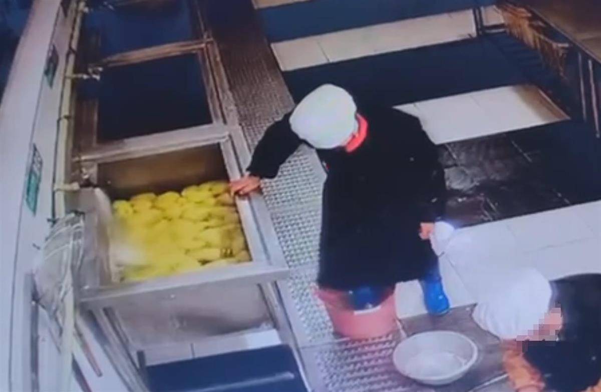 食堂人员用脚踩食材<strong></p>
<p>cortex发放虚拟币</strong>，江西新余十六中校长被免职，市监局：举一反三保障食品安全