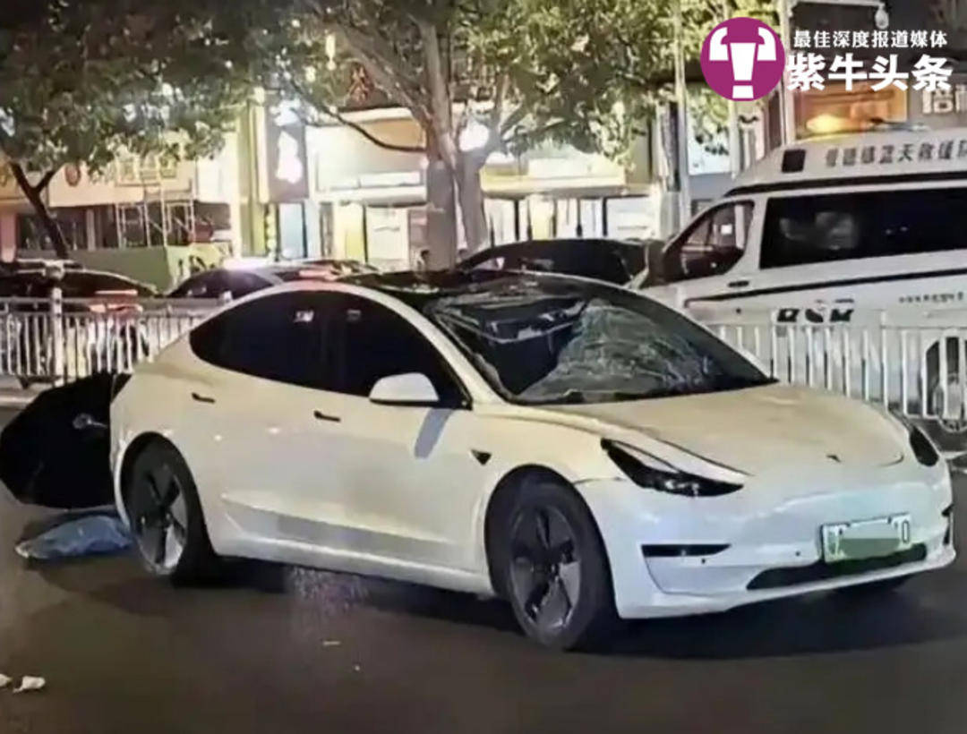 【紫牛头条】小伙求复合遭拒闹市超速撞死无辜一家三口<strong></p>
<p>cortex发放虚拟币</strong>，失独老夫妻患上重度抑郁症
