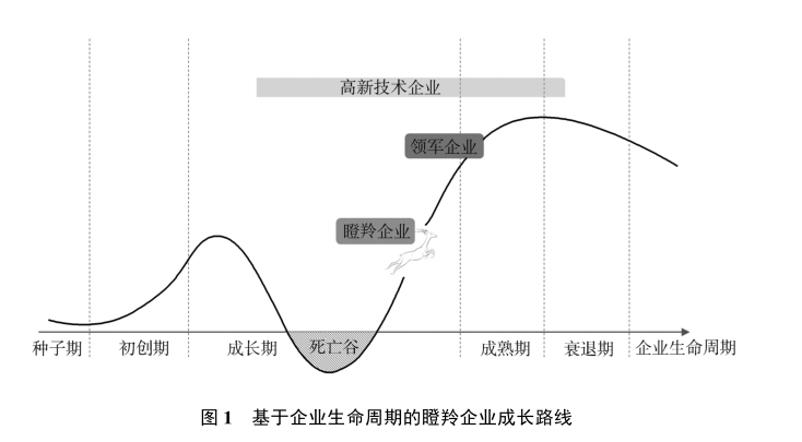 政府工作报告中的新词“瞪羚企业”<strong></p>
<p>游戏虚拟币交易</strong>，是什么意思