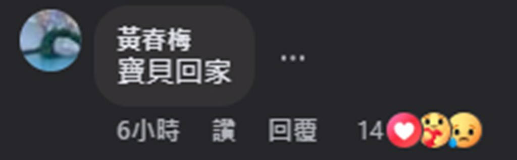 S妈分享AI大S视频 表示：<strong></p>
<p>虚拟币代币排行榜</strong>我女儿回来了