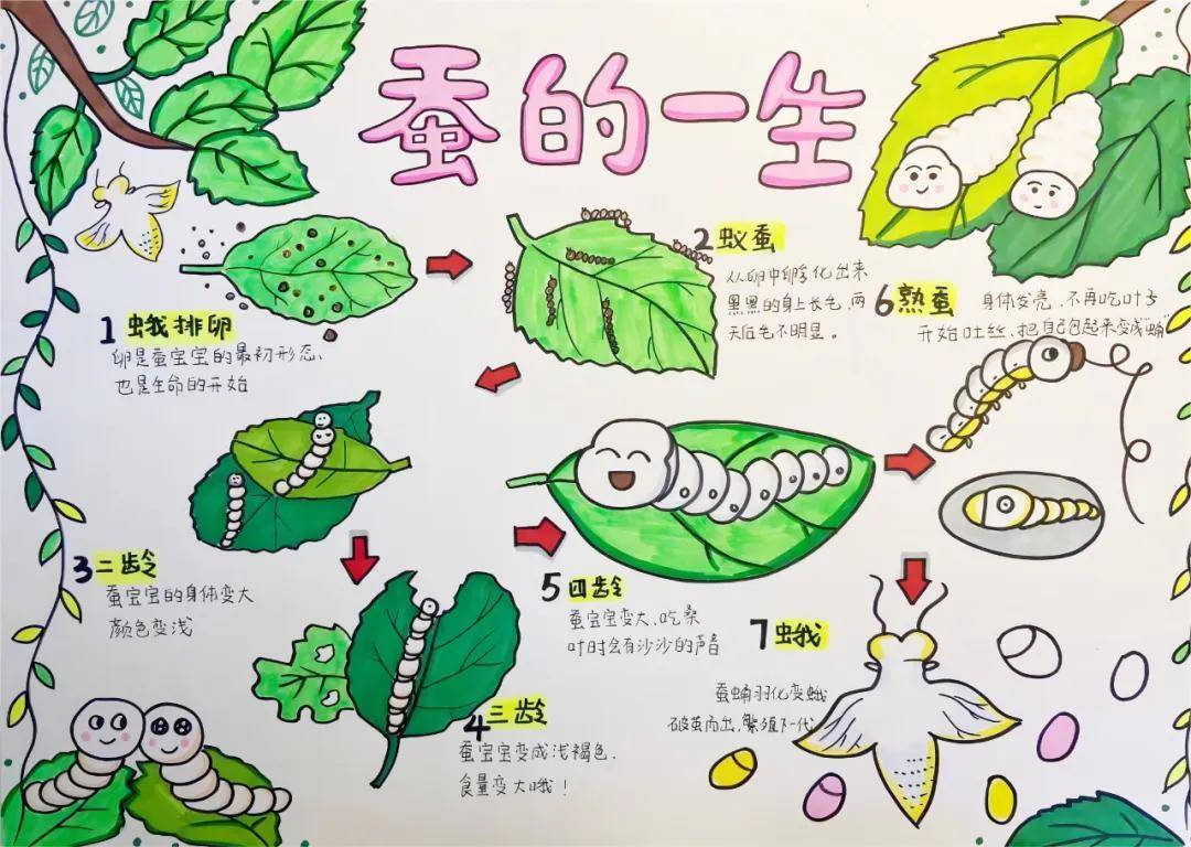 一年卖出1亿条虫！迷倒全国“10后”的小生意<strong></p>
<p>虚拟火币割韭菜</strong>，有人年入千万