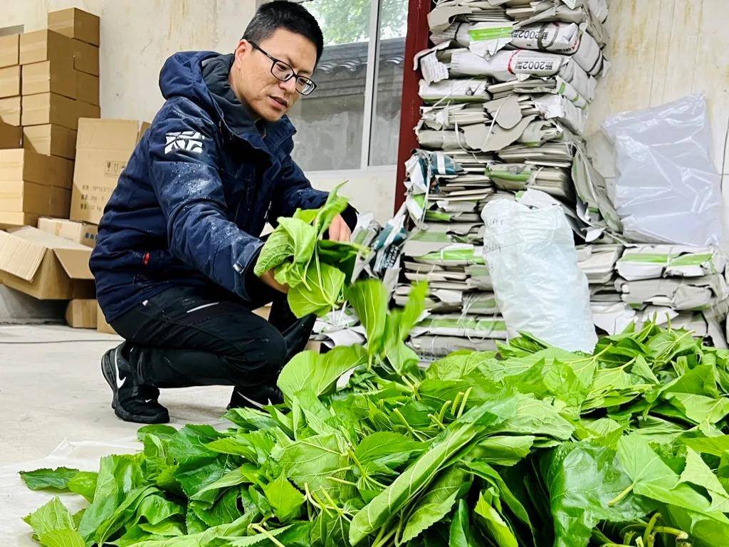 一年卖出1亿条虫！迷倒全国“10后”的小生意<strong></p>
<p>虚拟火币割韭菜</strong>，有人年入千万