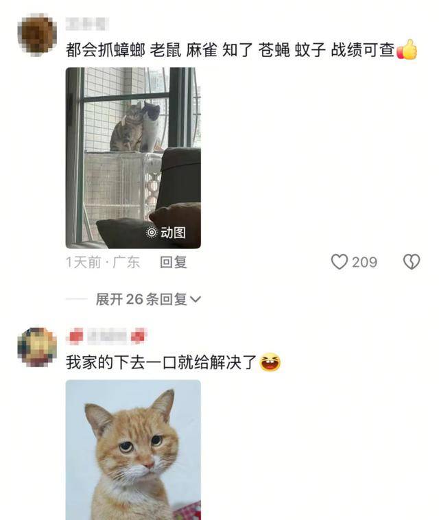 老鼠掉进泳池<strong></p>
<p>虚拟币挖矿那个币成本低</strong>，广东大叔出动鸡猫狗团队，结果全被老鼠吓跑！网友坐不住纷纷晒战绩