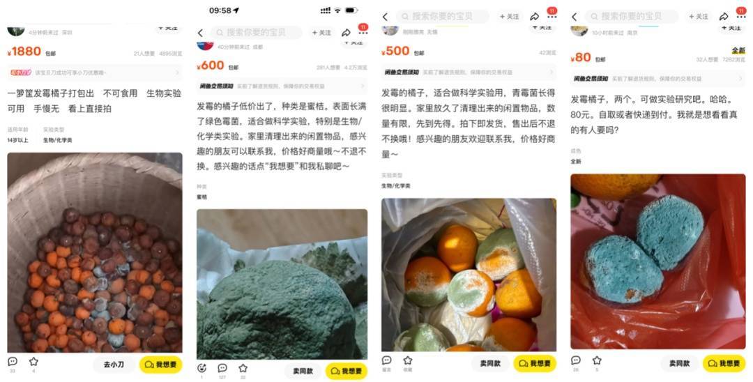 突然火了<strong></p>
<p>游戏虚拟币交易平台</strong>！有人卖500元一个！网友：后悔扔了……