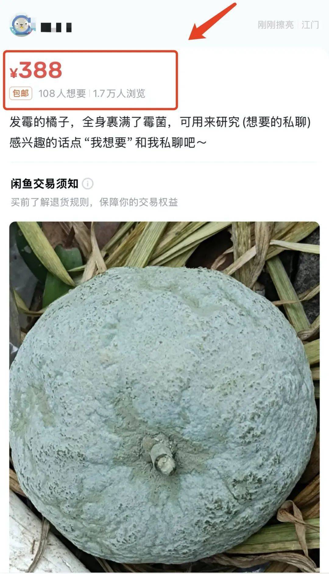 突然火了<strong></p>
<p>游戏虚拟币交易平台</strong>！有人卖500元一个！网友：后悔扔了……