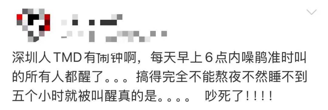 “周末想睡个懒觉都不行”<strong></p>
<p>cic虚拟币如何</strong>，有多少深圳人被这种鸟吵到神经衰弱