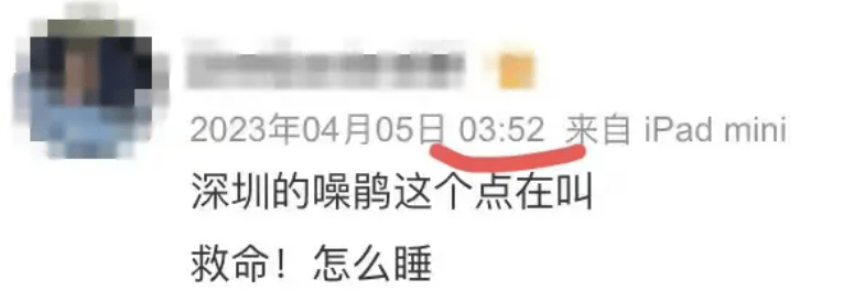 “周末想睡个懒觉都不行”<strong></p>
<p>cic虚拟币如何</strong>，有多少深圳人被这种鸟吵到神经衰弱