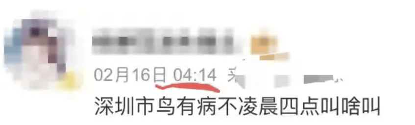 “周末想睡个懒觉都不行”<strong></p>
<p>cic虚拟币如何</strong>，有多少深圳人被这种鸟吵到神经衰弱