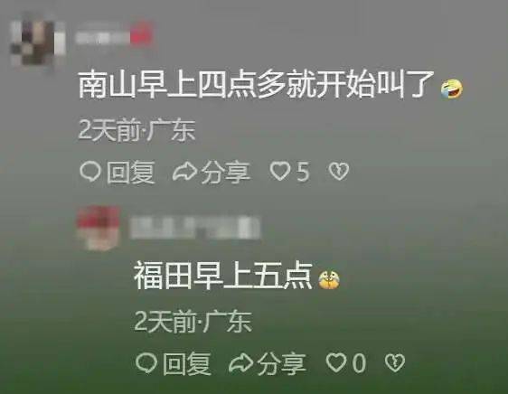 “周末想睡个懒觉都不行”<strong></p>
<p>cic虚拟币如何</strong>，有多少深圳人被这种鸟吵到神经衰弱