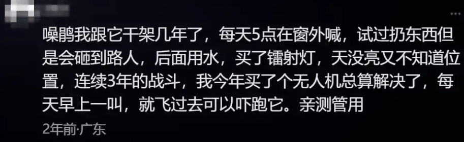 “周末想睡个懒觉都不行”<strong></p>
<p>cic虚拟币如何</strong>，有多少深圳人被这种鸟吵到神经衰弱