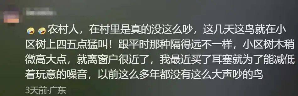 “周末想睡个懒觉都不行”<strong></p>
<p>cic虚拟币如何</strong>，有多少深圳人被这种鸟吵到神经衰弱