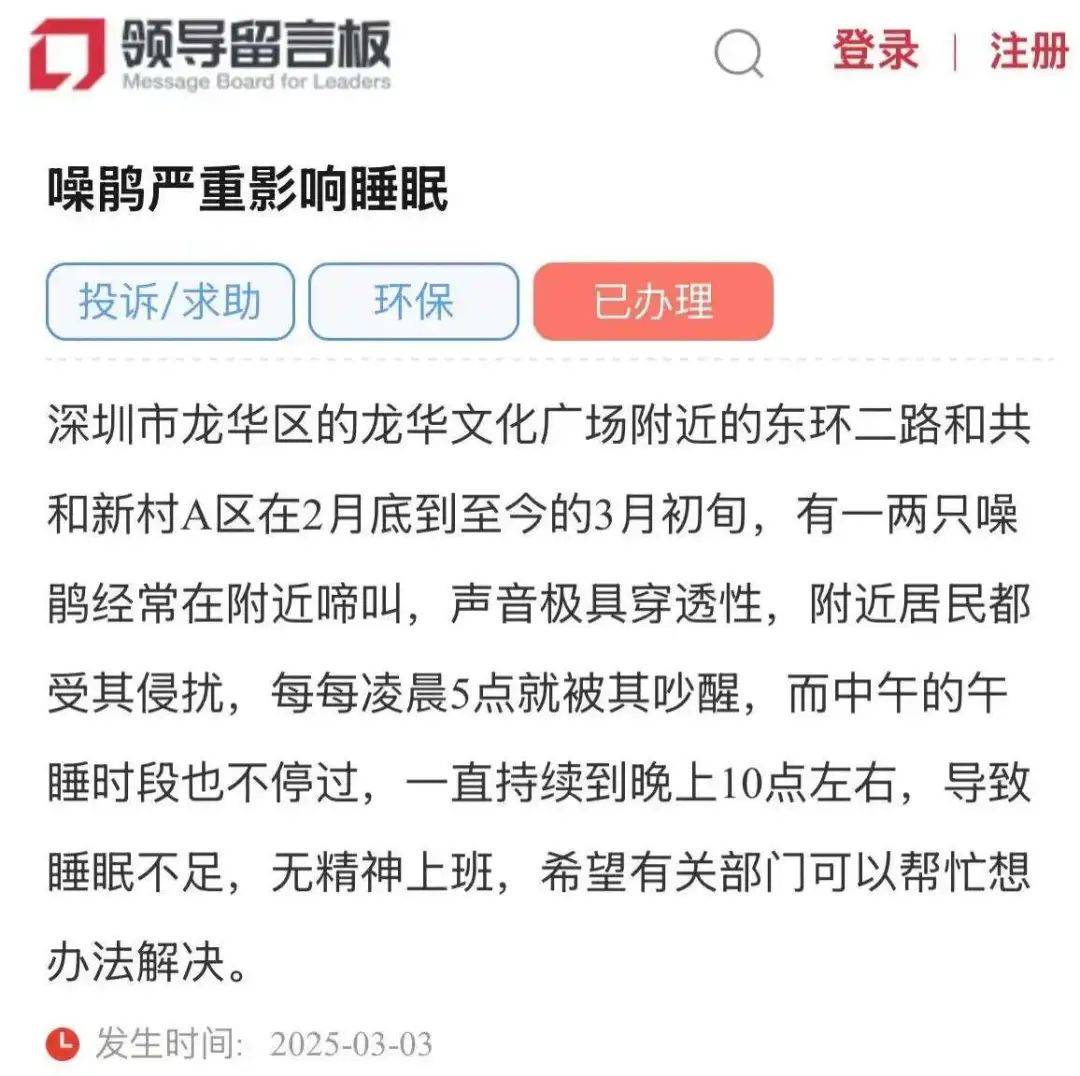 “周末想睡个懒觉都不行”<strong></p>
<p>cic虚拟币如何</strong>，有多少深圳人被这种鸟吵到神经衰弱