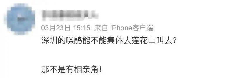 “周末想睡个懒觉都不行”<strong></p>
<p>cic虚拟币如何</strong>，有多少深圳人被这种鸟吵到神经衰弱
