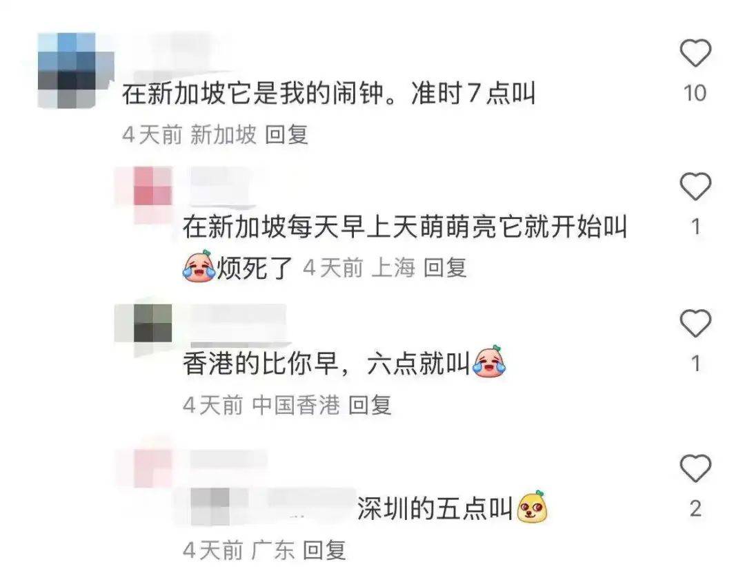 “周末想睡个懒觉都不行”<strong></p>
<p>cic虚拟币如何</strong>，有多少深圳人被这种鸟吵到神经衰弱